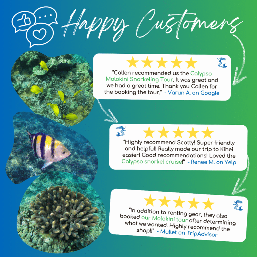 Happy Customers - Reviews - Auntie Snorkel - Calypso Molokini Snorkel Tour Bookings