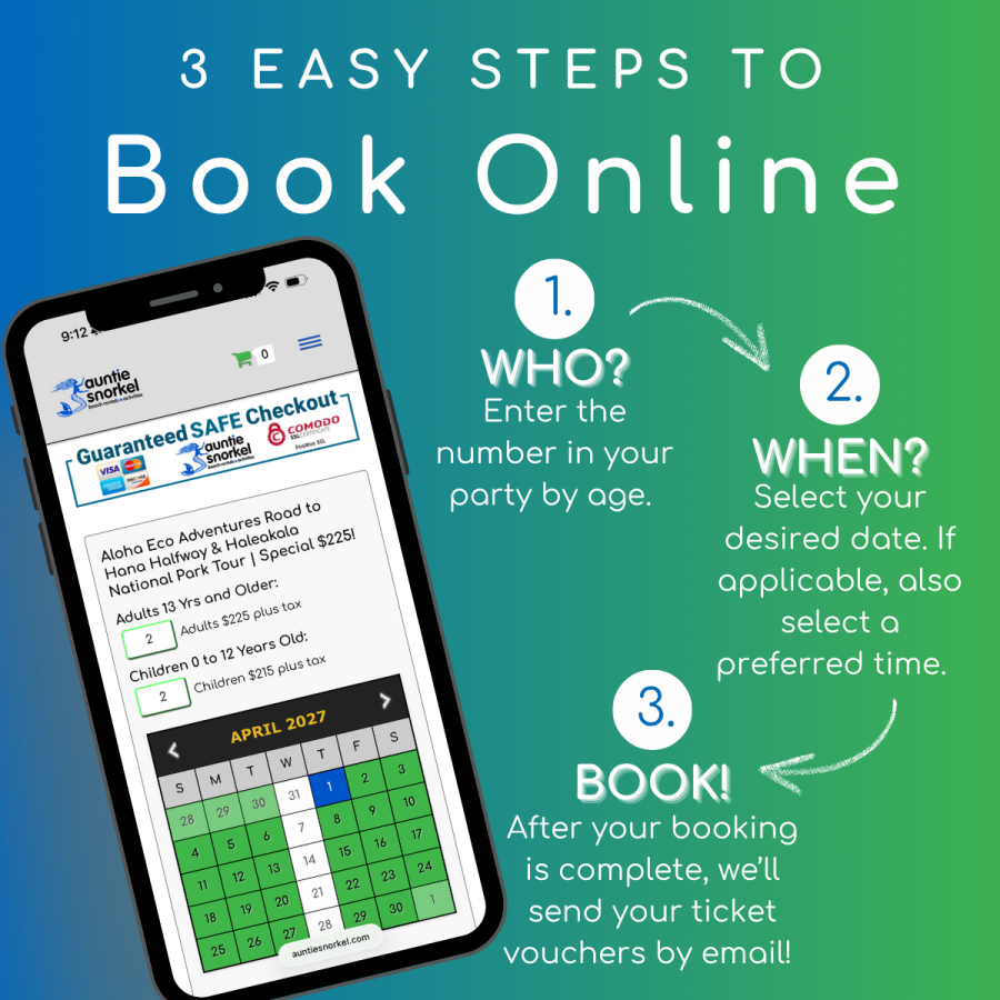 3 Easy Steps to Book Online - Aloha Eco Adventures Road to Hana Halfway & Haleakala National Park Tour - Book Maui Activities at Auntie Snorkel