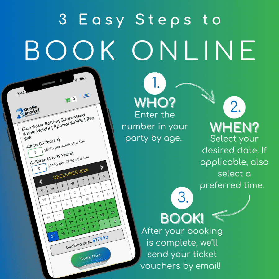 3 Easy Steps to Book Online - Blue Water Rafting Guaranteed Whale Watch - 1.5 Hour Tour - Book Maui Activities at Auntie Snorkel