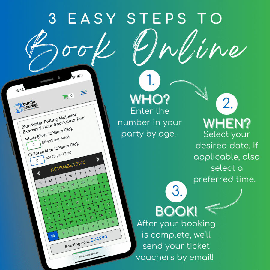 3 Easy Steps to Book Online - Blue Water Rafting Molokini Express 2 Hour - Book Maui Activities at Auntie Snorkel