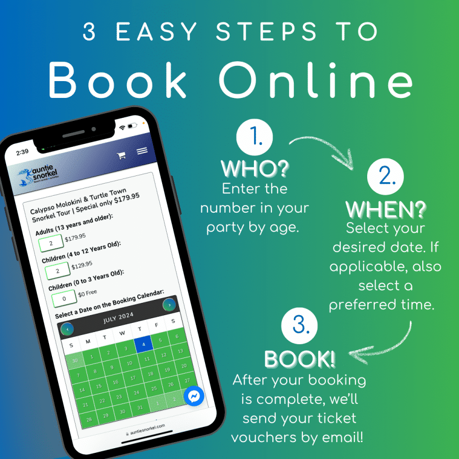 3 Easy Steps to Book Online- Calypso Molokini and Turtle Town Snorkel Tour - Book Maui Activities at Auntie Snorkel