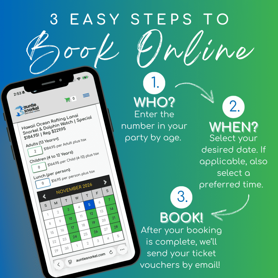 3 Easy Steps to Book Online - Hawaii Ocean Rafting Lanai Snorkel and Dolphin Watch - Book Maui Activities at Auntie Snorkel
