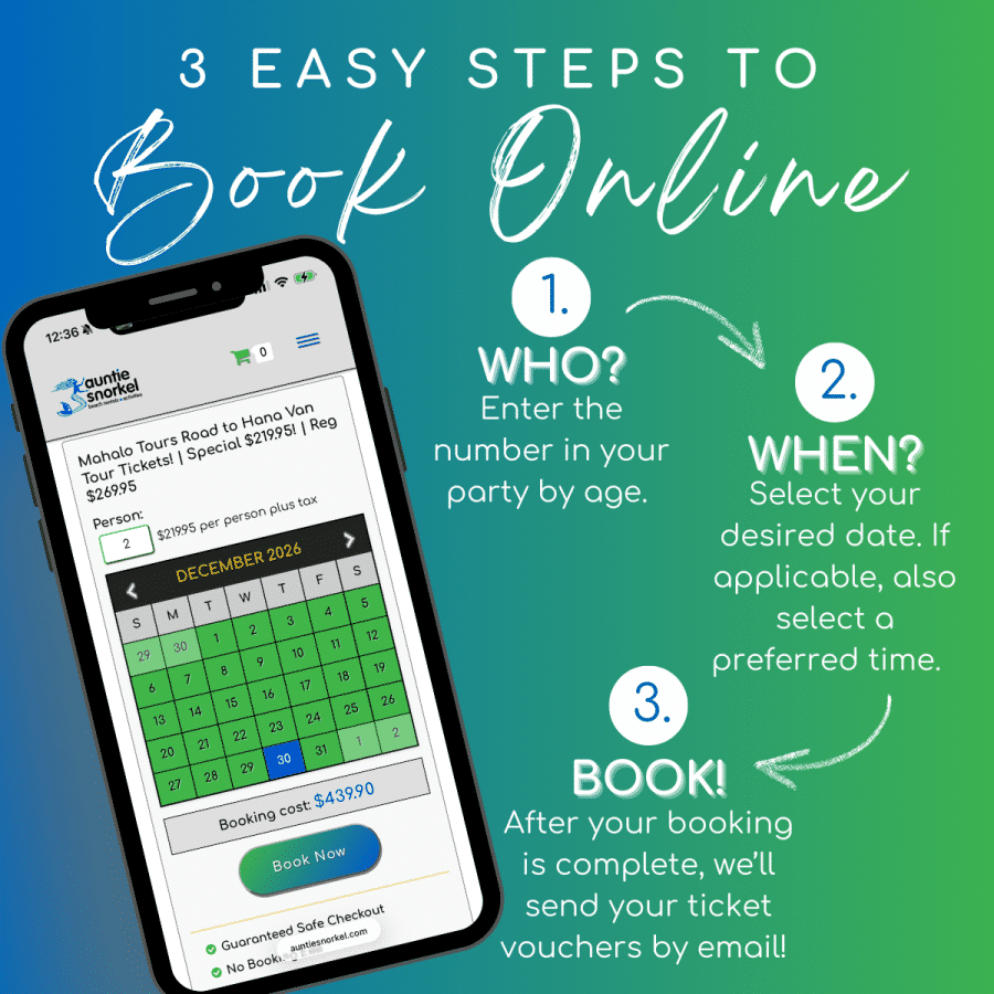 3 Easy Steps to Book Online - Mahalo Tours Road to Hana Van Tour - Book Maui Activities at Auntie Snorkel