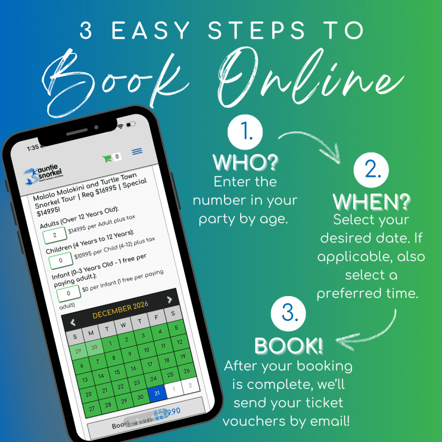 3 Easy Steps to Book Online - Malolo Molokini and Turtle Town Snorkel Tour - Book Maui Activities with Auntie Snorkel