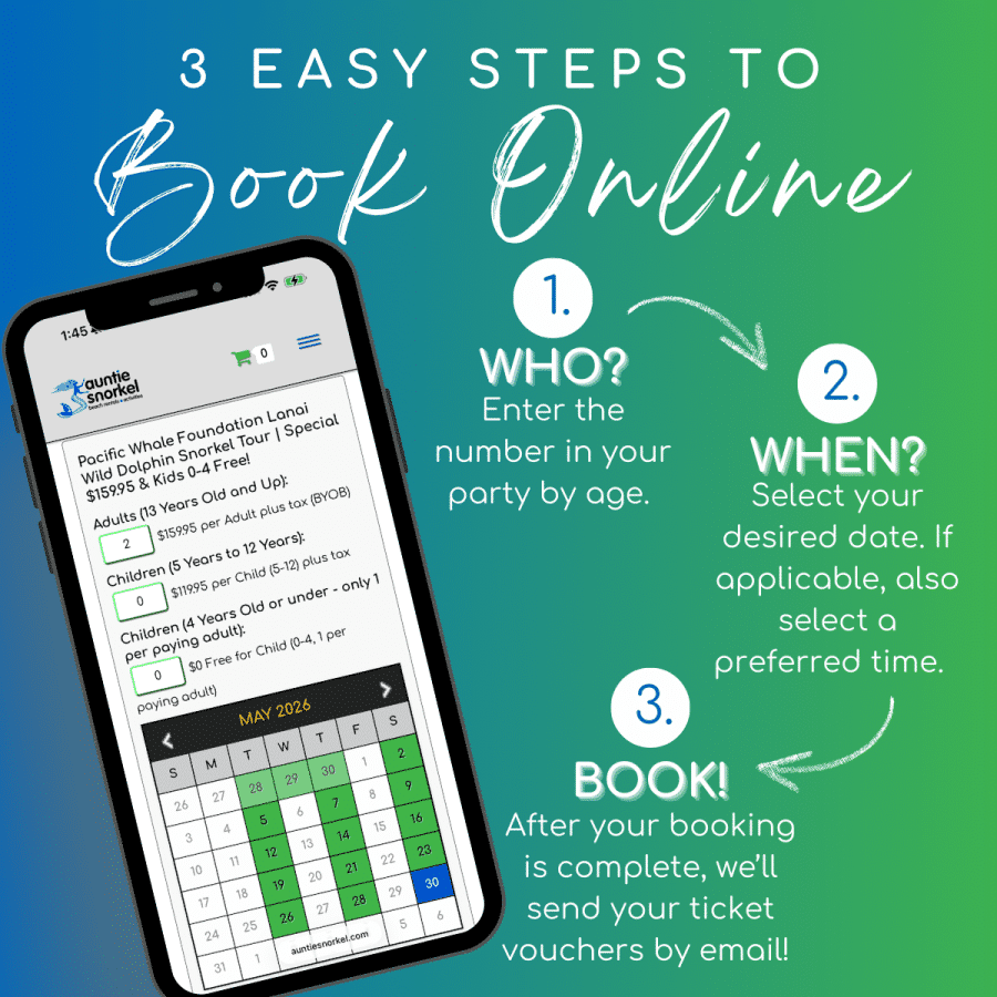 3 Easy Steps to Book Online - Pacific Whale Foundation Lanai Snorkeling Tour and Dolphin Watch - Book Maui Activities at Auntie Snorkel