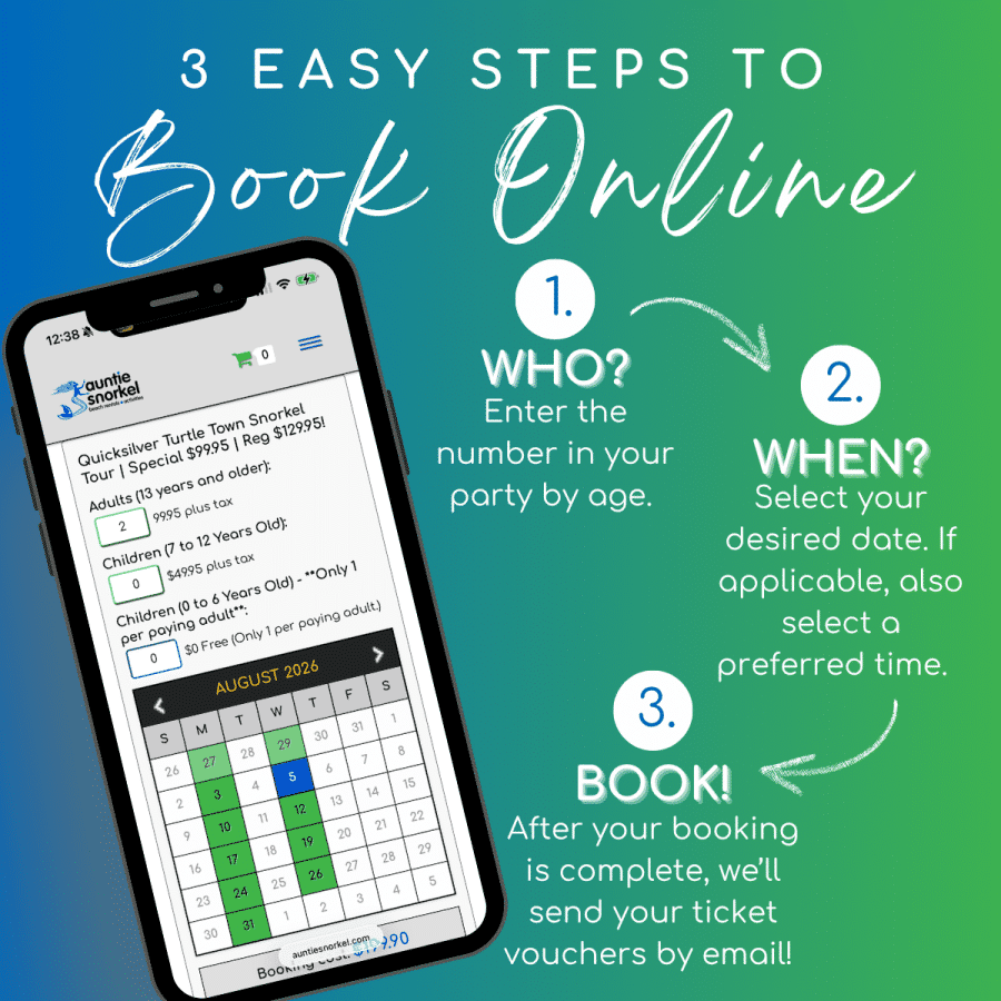 3 Easy Steps to Book Online - Quicksilver Turtle Town Snorkel Tour - Book Maui Activities at Auntie Snorkel