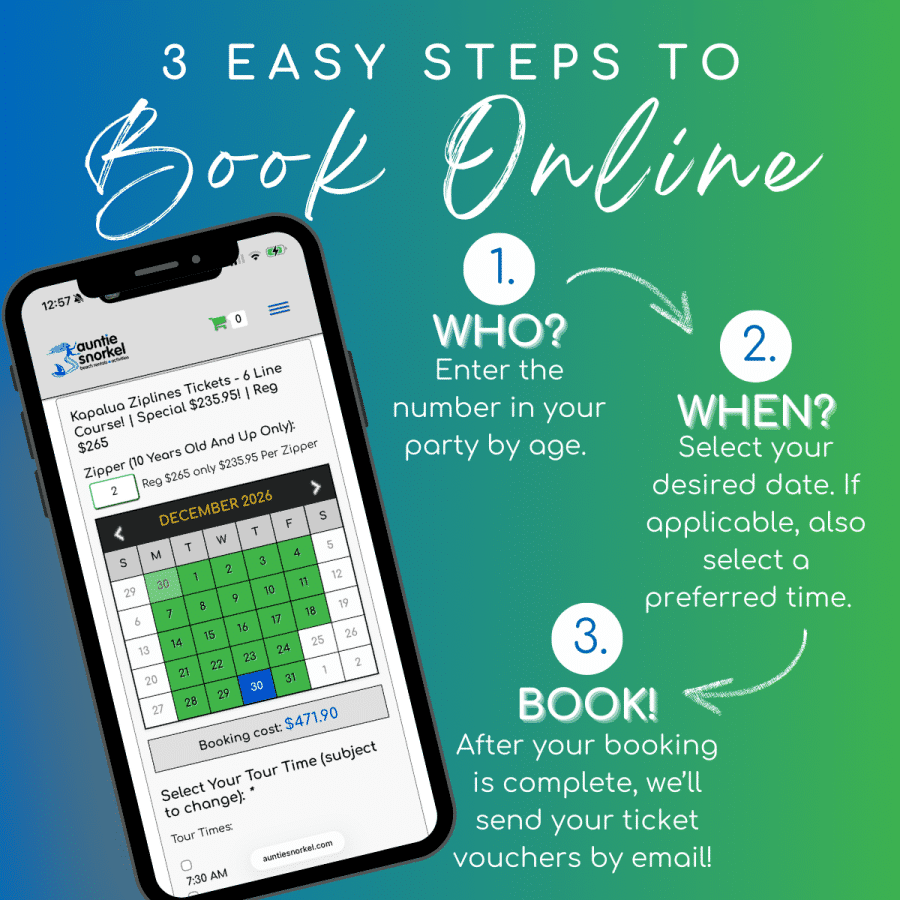 3 Easy Stesps to Book Online - Kapalua Zipline - 6 Line Course - Book Maui Activities at Auntie Snorkel