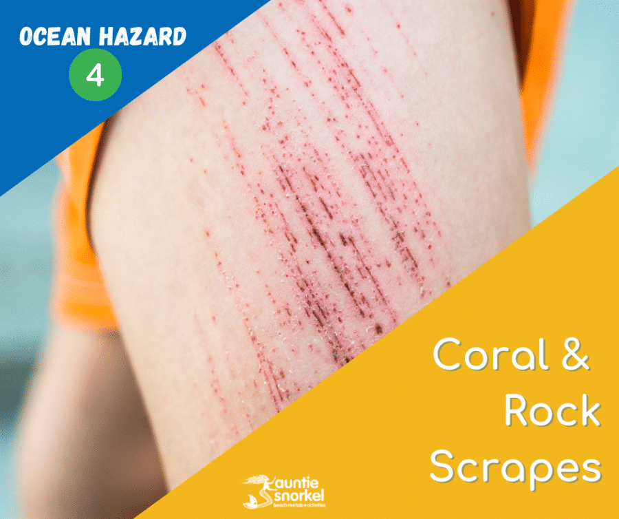 4 Coral and Rock Scrapes