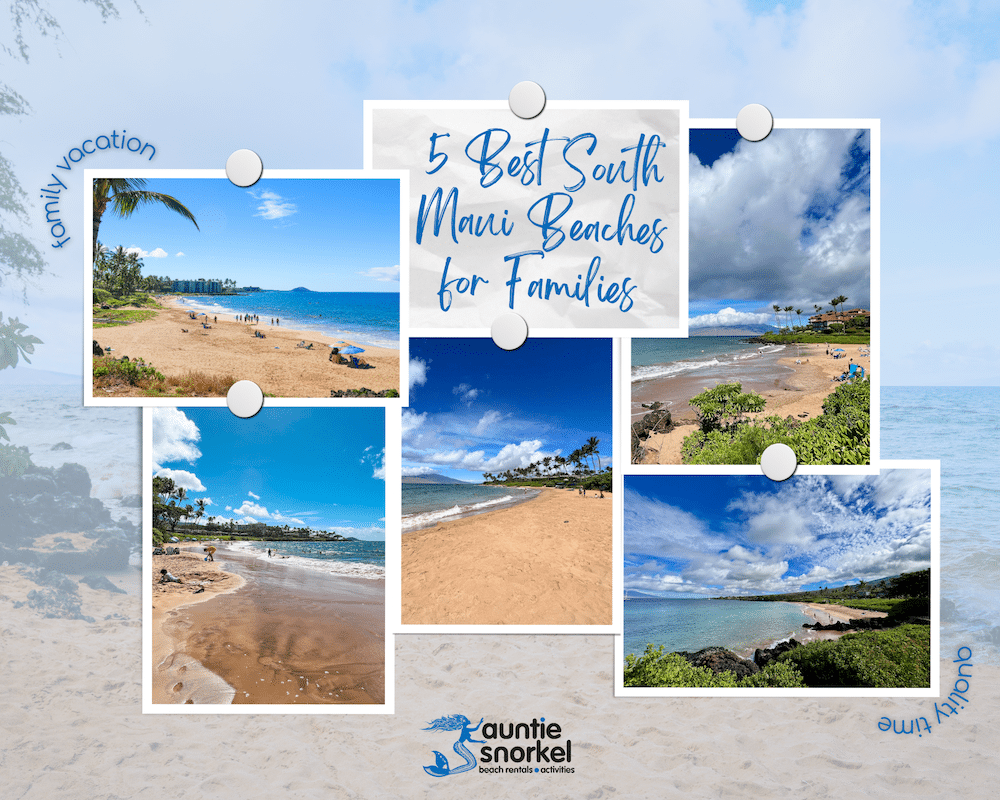 5 Best South Maui Beaches for Families