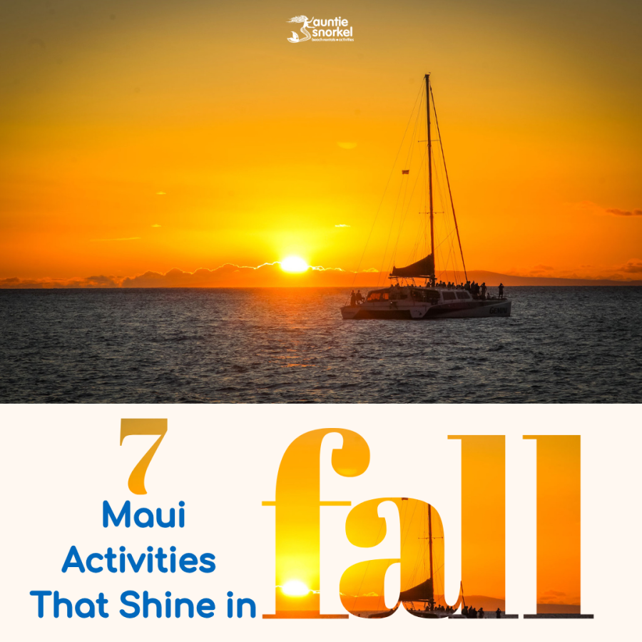 7 Maui Activities That Shine in Fall - Auntie Snorkel