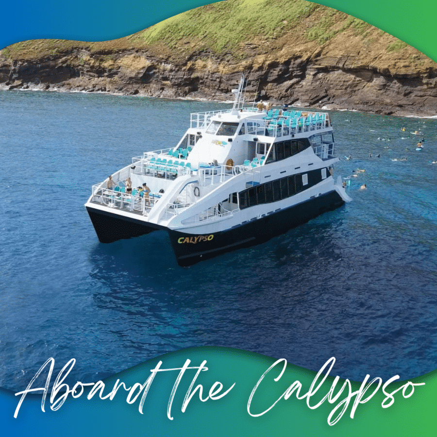 Aboard the Calypso - Calypso Molokini Snorkel Tour - Auntie Snorkel