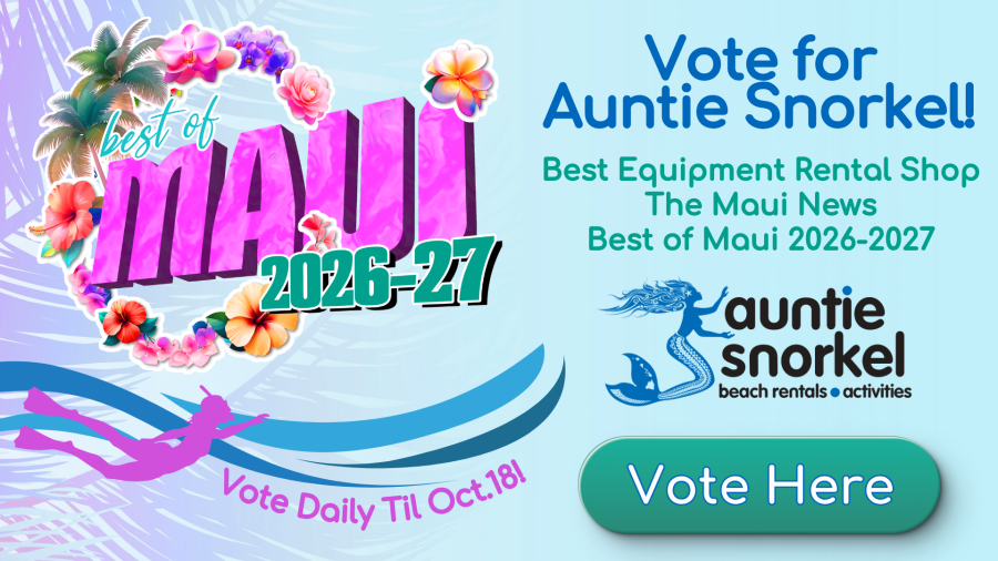 Vote for Auntie Snorkel - The Maui News Best of Maui 2026-2027 - Best Equipment Rental Shop