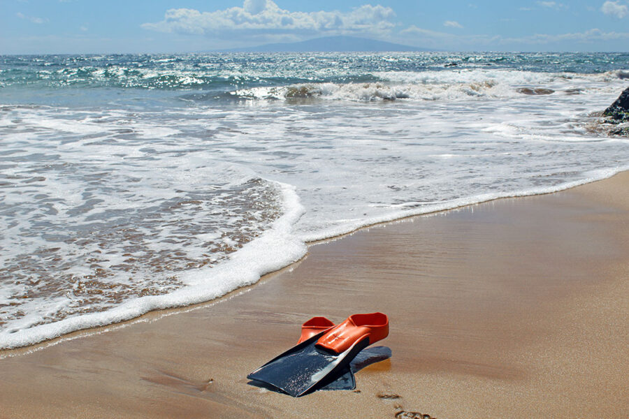 Fitted Snorkel Fins Rentals Kihei, Wailea, Makena 50 Off Online