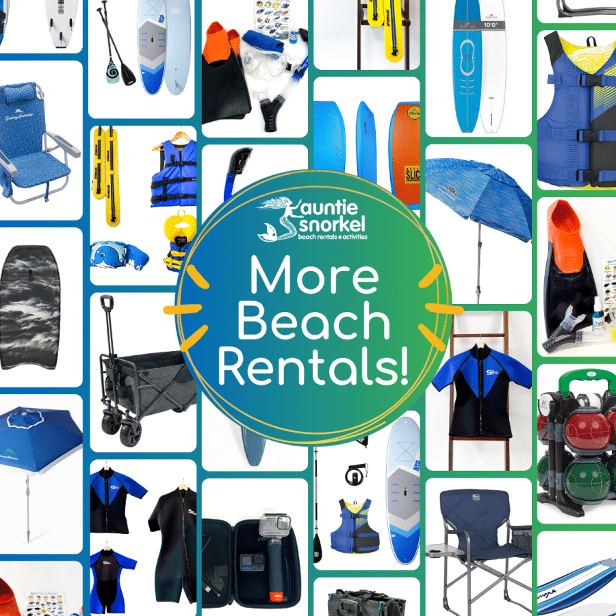 Auntie Snorkel - More Beach Rentals - Rent Beach Gear at Auntie Snorkel