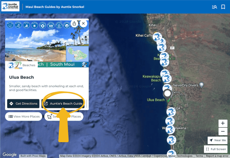 NEW Interactive Maui Beach Guides Map - Auntie Snorkel