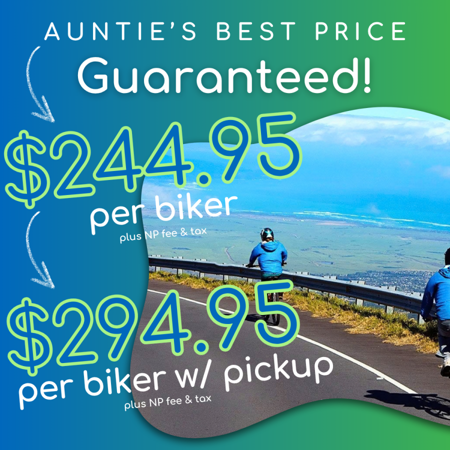 Aunties Best Price Guaranteed - Bike Maui Haleakala Sunrise Guided Bike Tour - Book Maui Activities at Auntie Snorkel