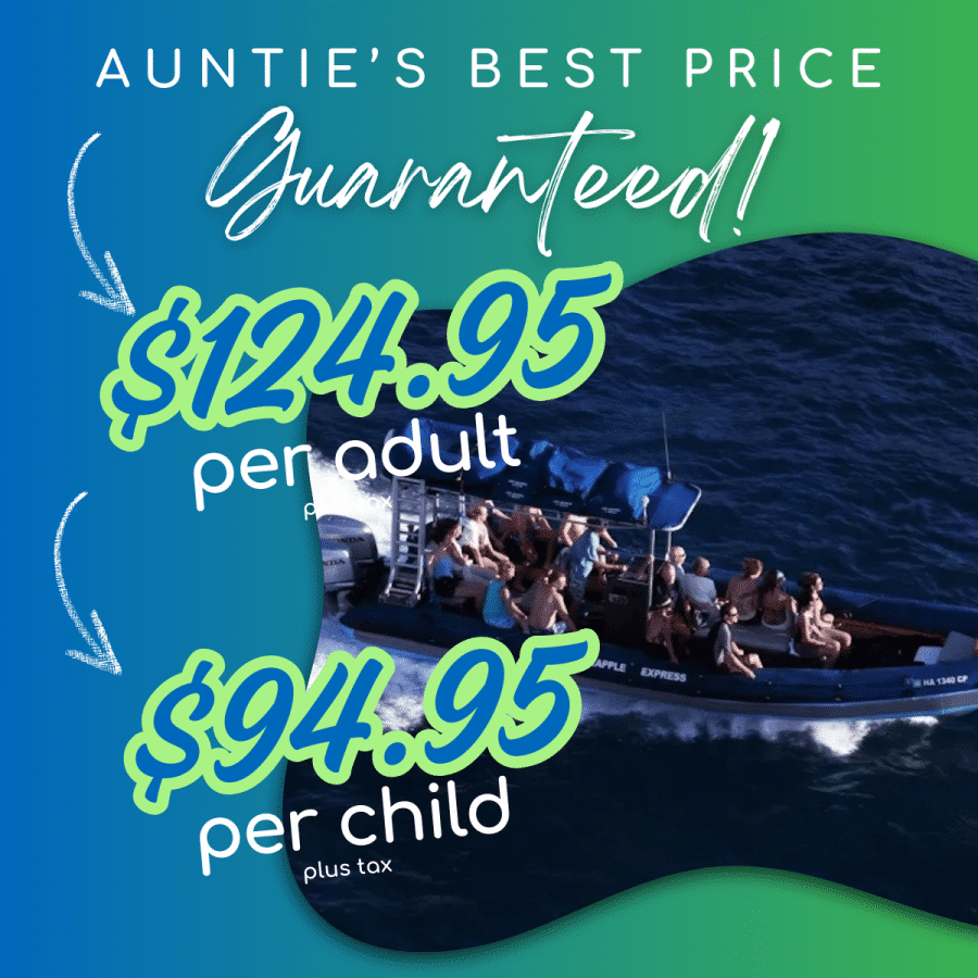 Aunties Best Price Guaranteed - Blue Water Rafting Molokini Express 2 Hour - Book Maui Activities at Auntie Snorkel