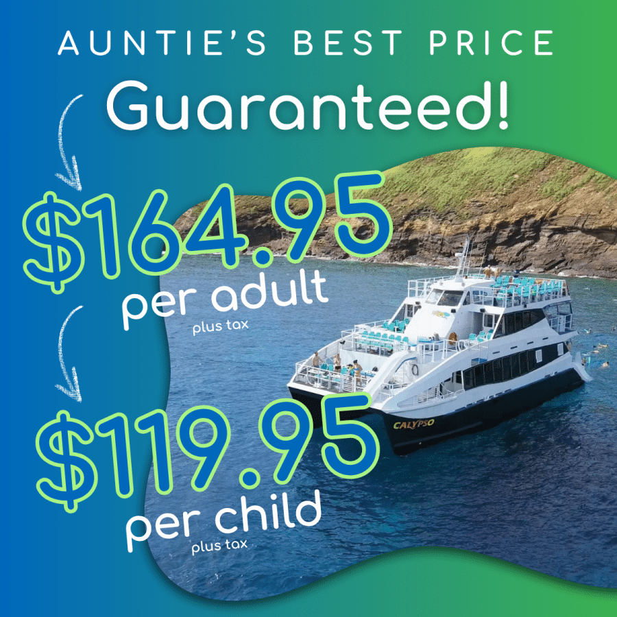 Aunties Best Price Guaranteed- Calypso Molokini and Turtle Town Snorkel Tour - Book Maui Activities at Auntie Snorkel