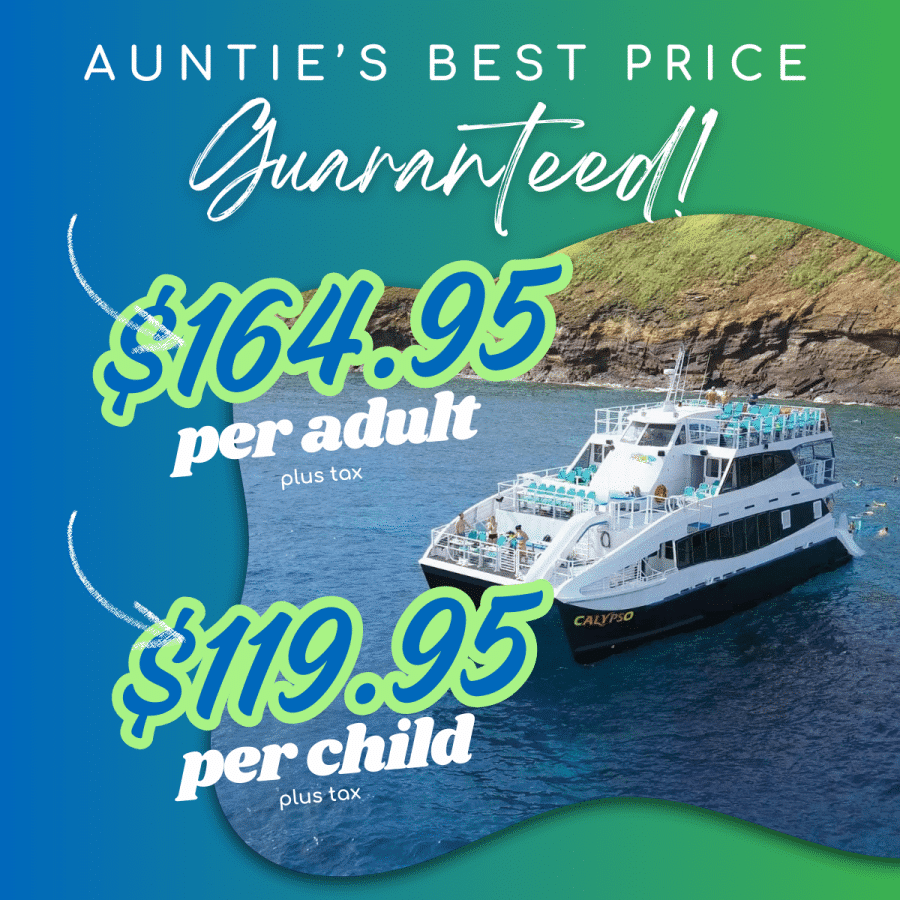 Aunties Best Price Guaranteed - Calypso Molokini and Turtle Town Snorkel Tour - Book Maui Activities at Auntie Snorkel