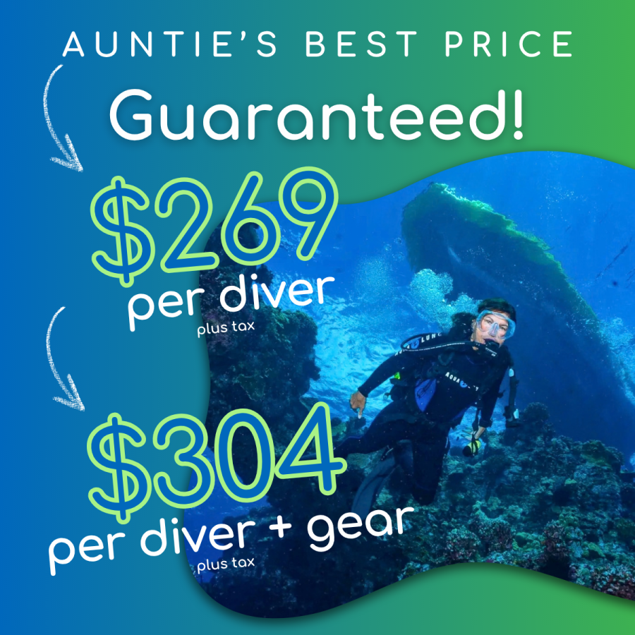 Aunties Best Price Guaranteed - Dive Maui 2 Tank Lanai Cathedrals Dive - Book Maui Activities at Auntie Snorkel