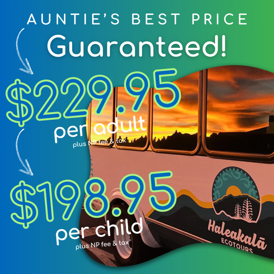 Aunties Best Price Guaranteed - Haleakala EcoTours Classic Sunrise Tour - Book Maui Activities at Auntie Snorkel