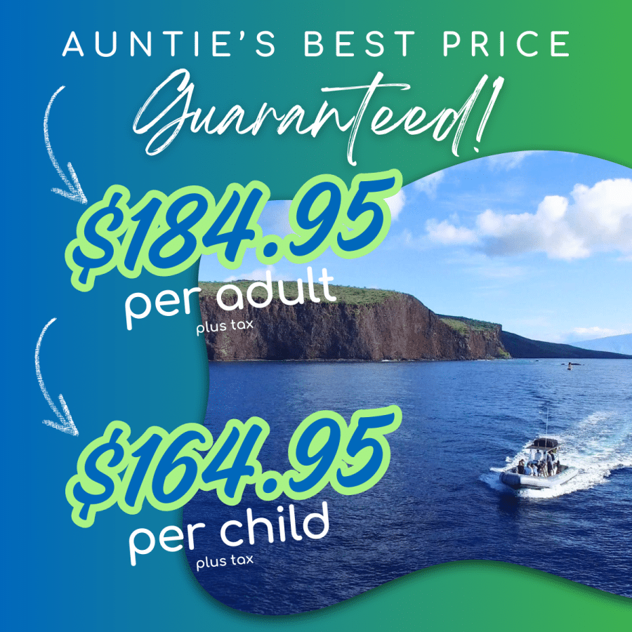 Aunties Best Price Guaranteed - Hawaii Ocean Rafting Lanai Snorkel and Dolphin Watch - Book Maui Activities at Auntie Snorkel