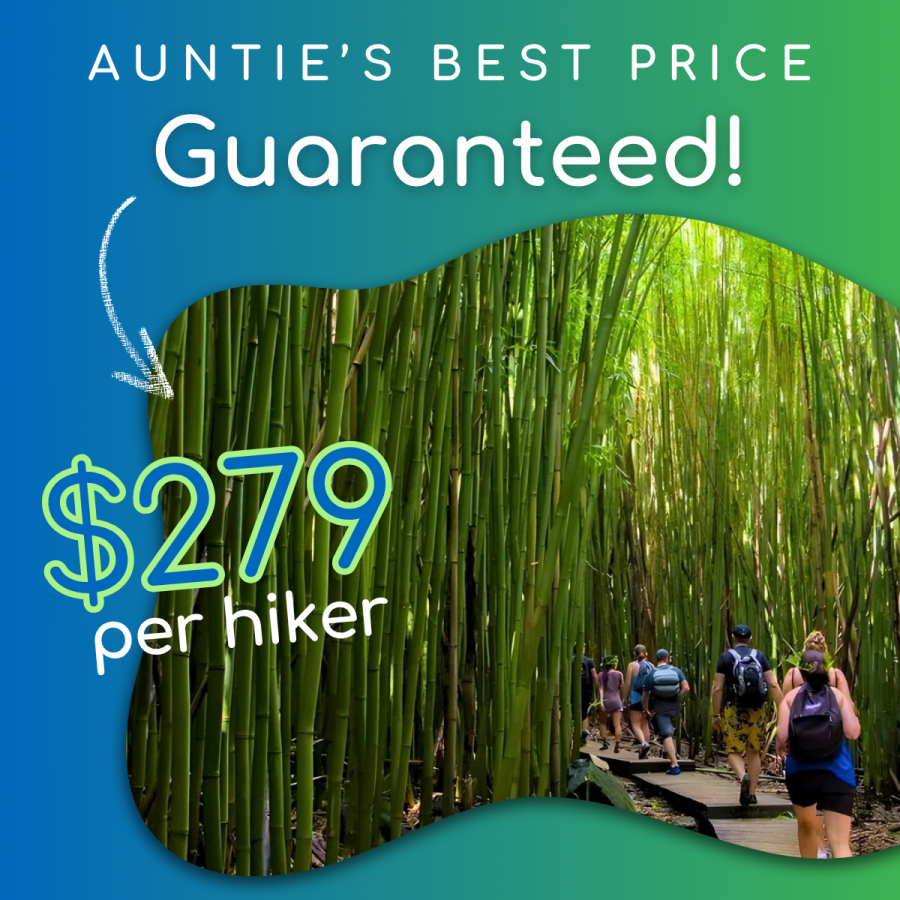 Aunties Best Price Guaranteed - Hike Maui Ultimate Hana Full-Day Adventure - Book Maui Activities at Auntie Snorkel