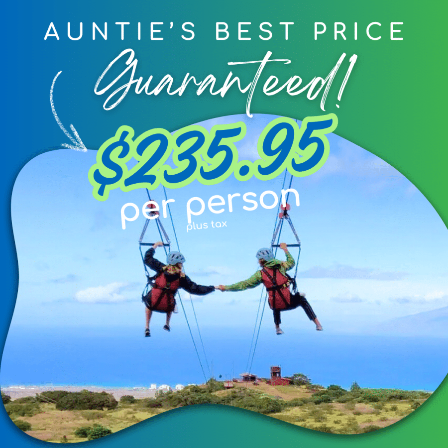 Aunties Best Price Guaranteed - Kapalua Zipline - 6 Line Course - Book Maui Activities at Auntie Snorkel
