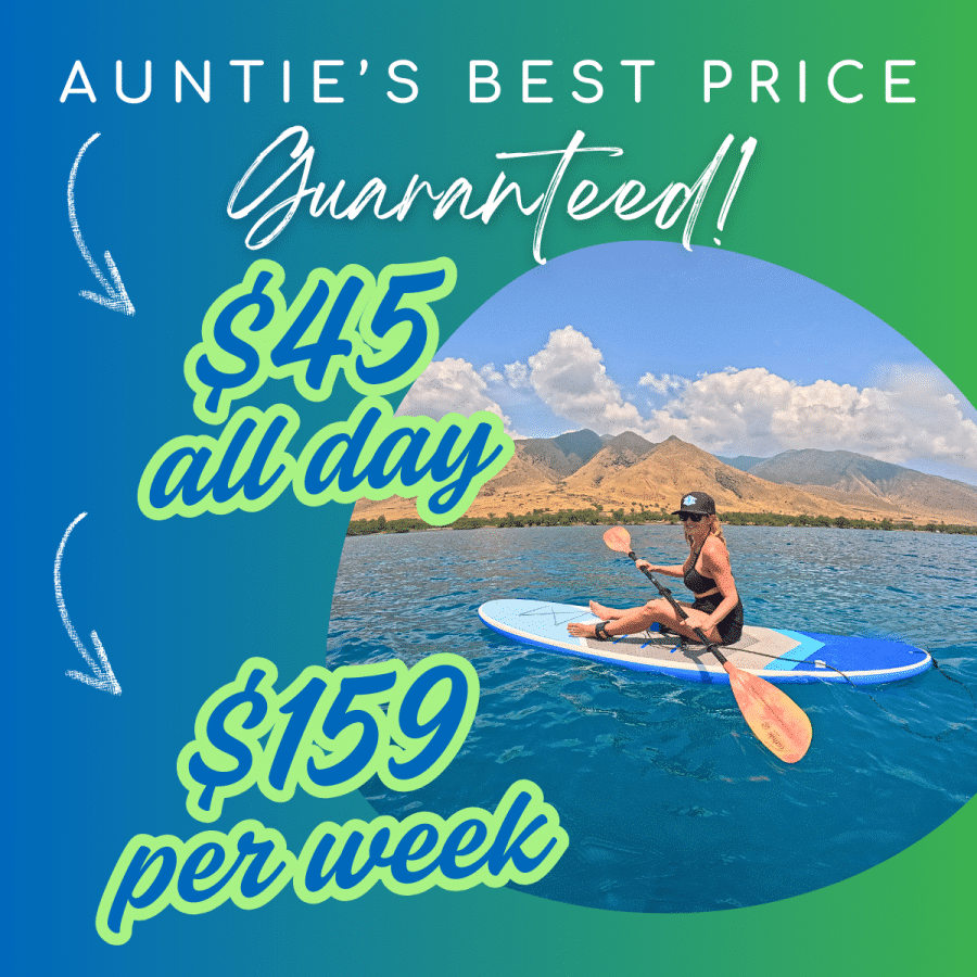 Aunties Best Price Guaranteed - Sit Down Paddle Board Rental - Kayak Style - Auntie Snorkel Maui