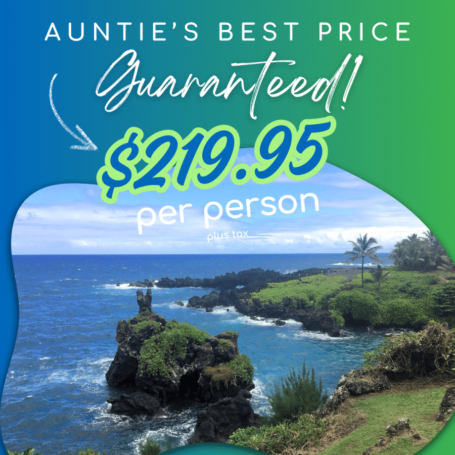 Aunties Best Price Guaranteed - Mahalo Tours Road to Hana Van Tour - Book Maui Activities at Auntie Snorkel