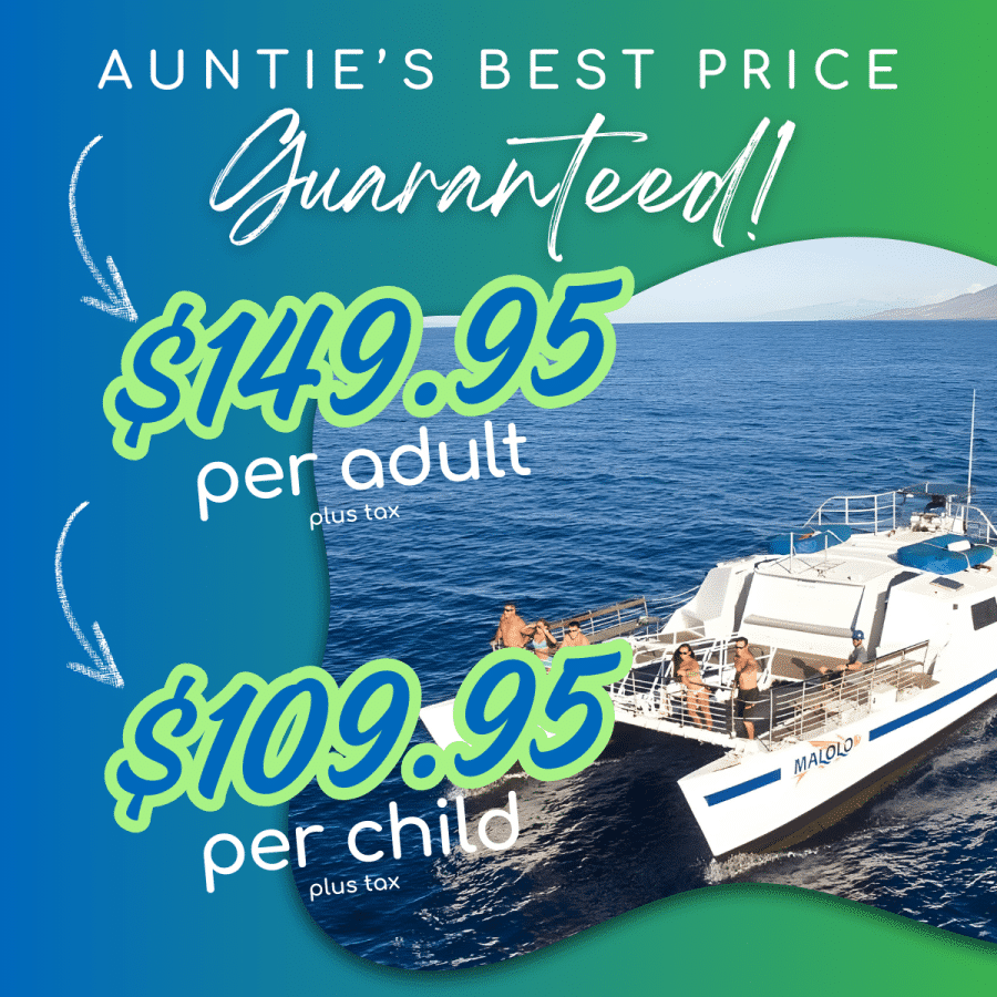 Aunties Best Price Guaranteed - Malolo Molokini and Turtle Town Snorkel Tour - Book Maui Activities with Auntie Snorkel