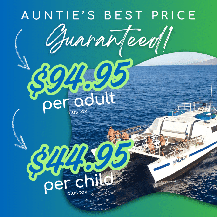 Aunties Best Price Guaranteed - Malolo Molokini or Coral Gardens Afternoon Snorkel Tour - Book Maui Activities with Auntie Snorkel