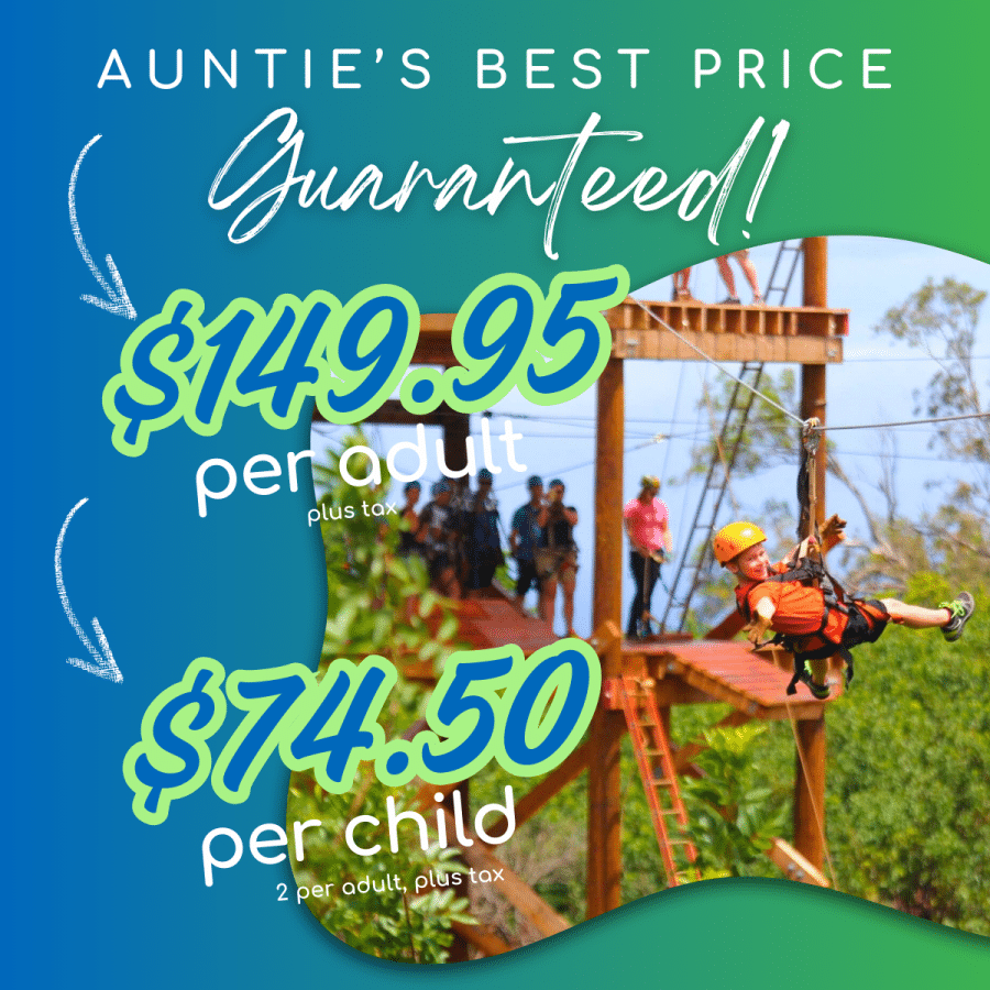 Aunties Best Price Guaranteed - NorthShore Zipline - 7 Line Course - Book Maui Activities at Auntie Snorkel