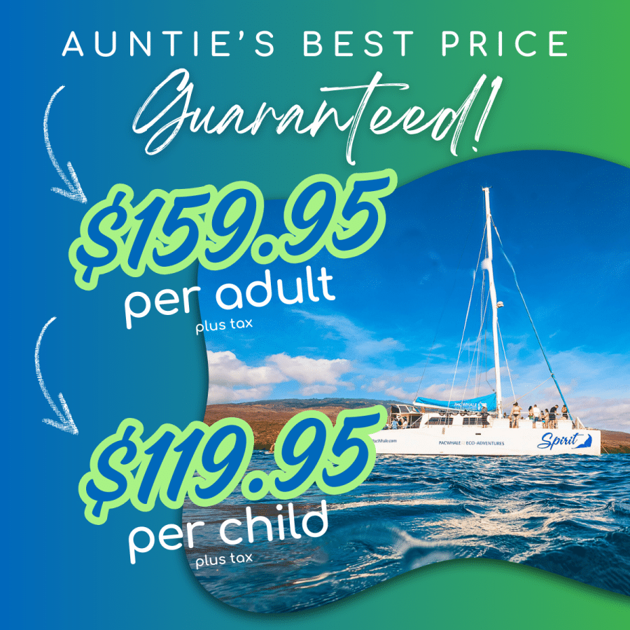 Aunties Best Price Guaranteed - Pacific Whale Foundation Lanai Snorkeling Tour and Dolphin Watch - Book Maui Activities at Auntie Snorkel