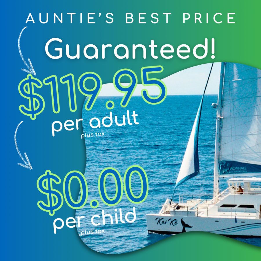 Auntie's Best Price Guaranteed - Pacific Whale Foundation Maui Snorkel and Sunset Sail - Maalaea - Book Maui Activities at Auntie Snorkel - Kids Go Free Summer Special