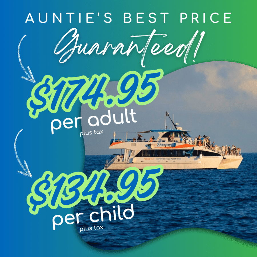 Aunties Best Price Guaranteed - Pacific Whale Foundation Molokini and Turtle Arches Snorkel Tour - Book Maui Activities at Auntie Snorkel