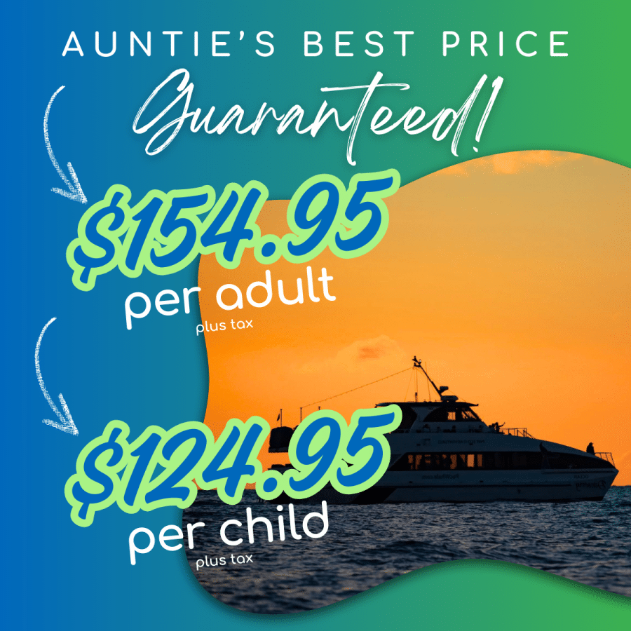 Aunties Best Price Guaranteed - Pacific Whale Foundation Sunset Dinner Cruise - Book Maui Activities at Auntie Snorkel