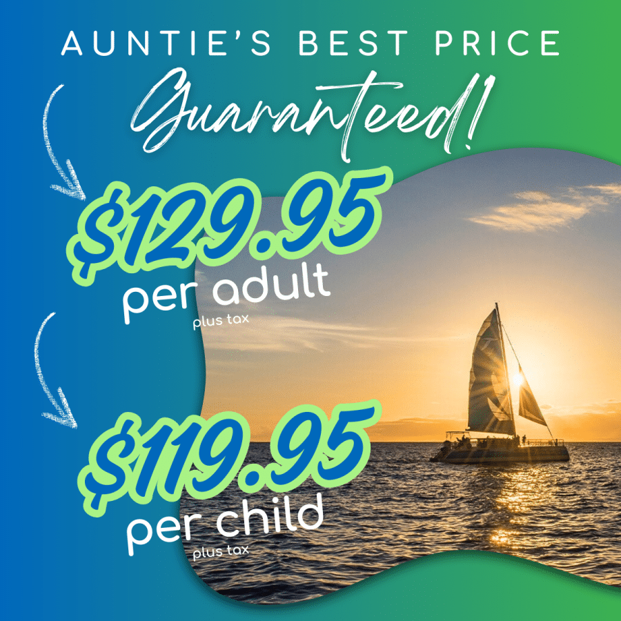 Aunties Best Price Guaranteed - Teralani Holo Holo Sunset Appetizer & Cocktail Cruise - Book Maui Activities at Auntie Snorkel