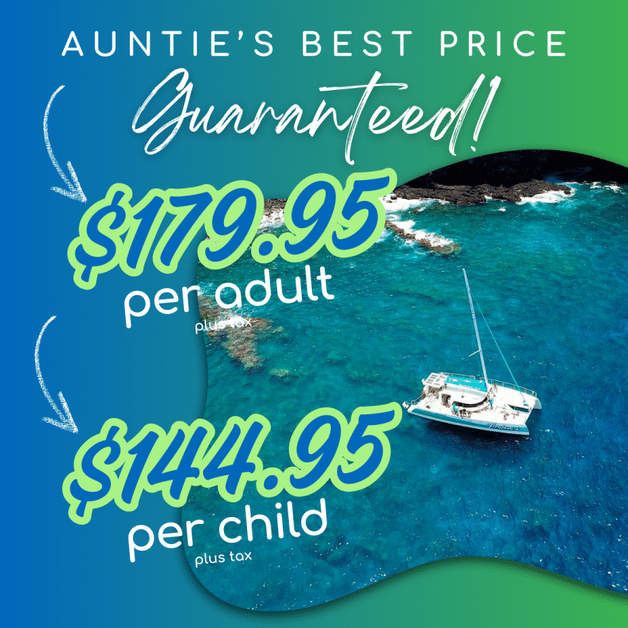 Aunties Best Price Guaranteed - Teralani Premier West Maui Snorkel Sail - Book Maui Activities at Auntie Snorkel