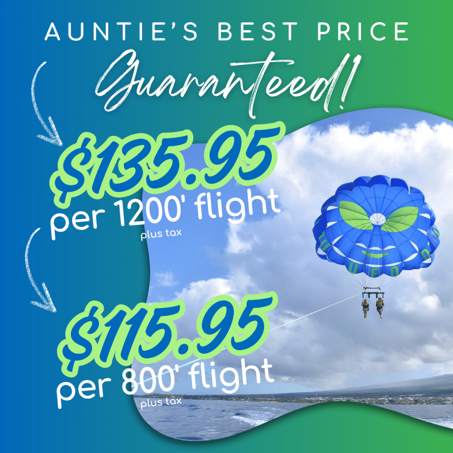 Aunties Best Price Guaranteed - UFO Parasail Maui - Parasail from Kaanapali Beach - Book Maui Activities at Auntie Snorkel