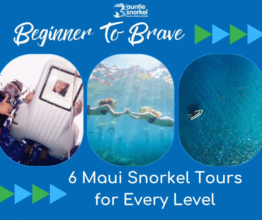 Beginner to Brave - 6 Maui Snorkel Tours for Every Level