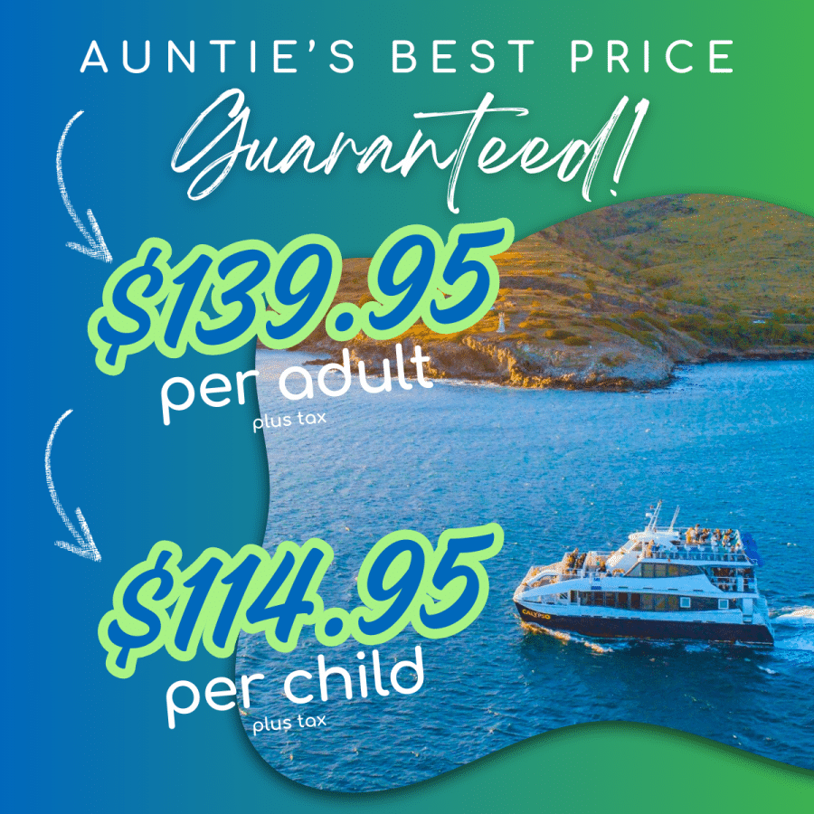 Best Price Guaranteed - Calypso Dinner Cruise - Book Maui Activities at Auntie Snorkel