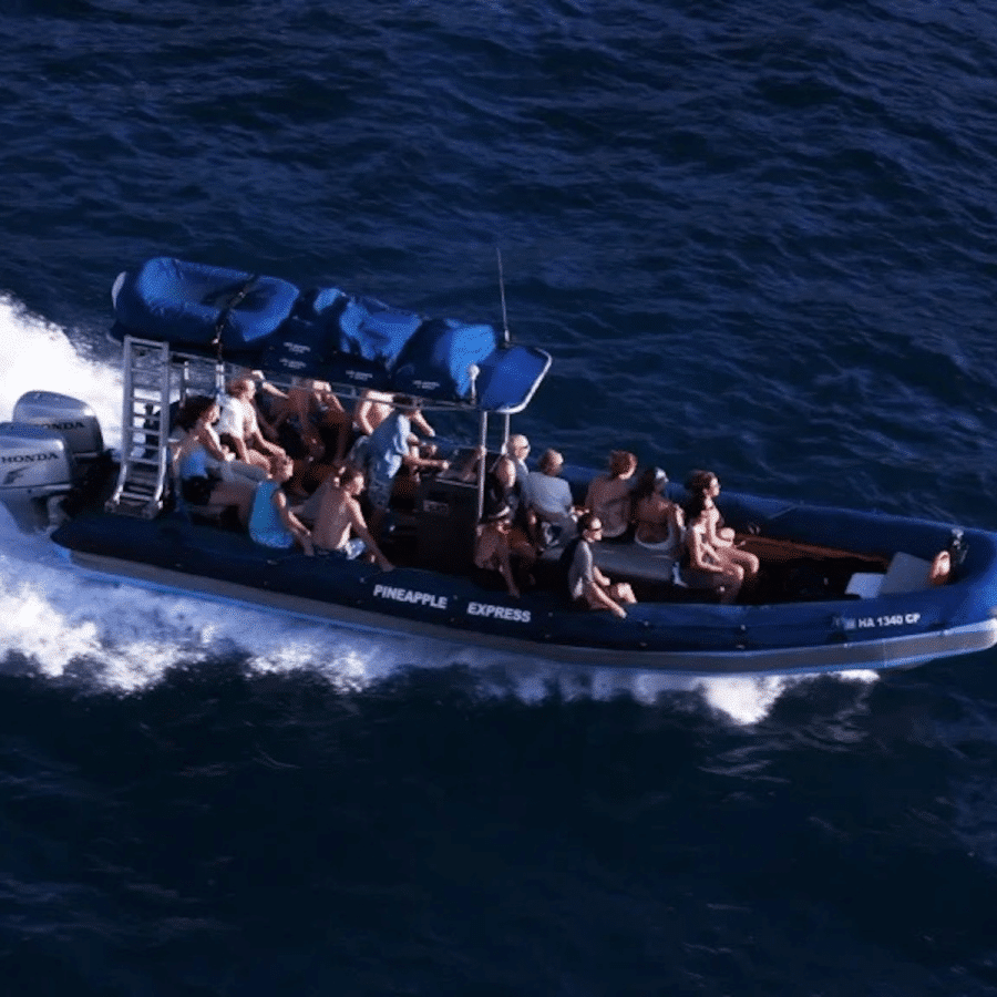 Blue Water Rafting Molokini Express 2 Hour - Book Maui Activities at Auntie Snorkel