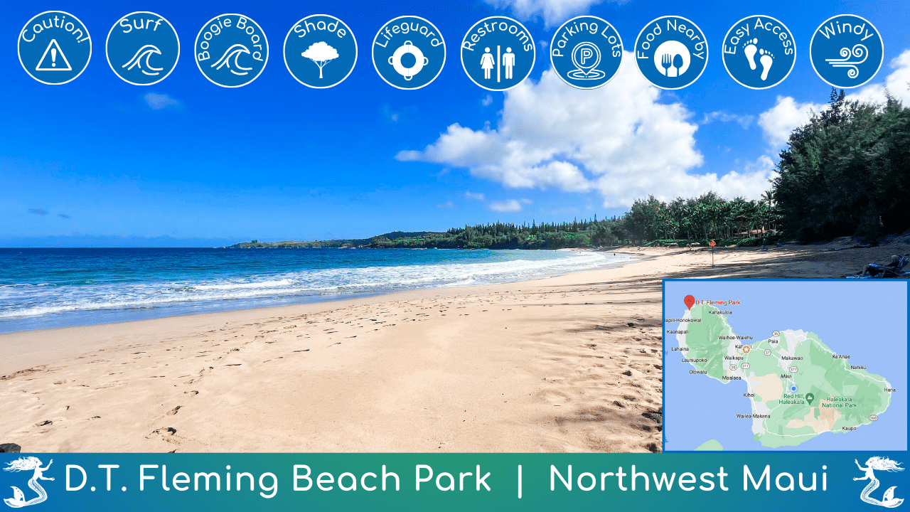 DT Fleming Beach Guide