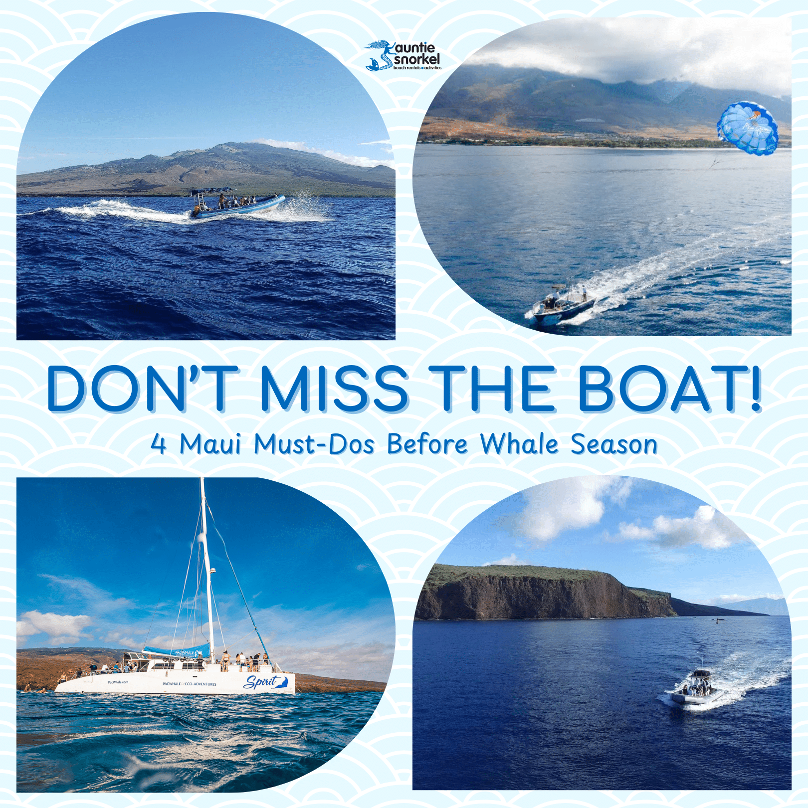 Dont Miss The Boat - 4 Maui Must-Dos Before Whale Season