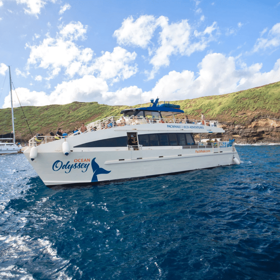 Explore Molokini and Turtle Arches- Pacific Whale Foundation Molokini and Turtle Arches Snorkel Tour - Book Maui Activities at Auntie Snorkel