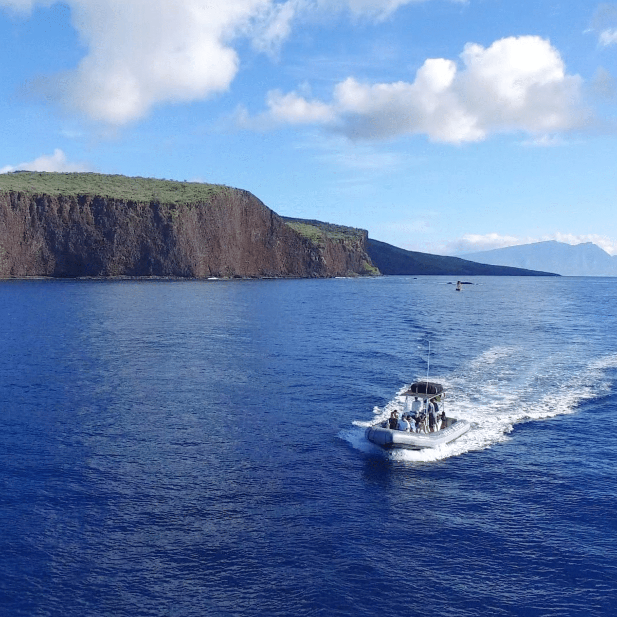 Exploring the Lanai Coast - Hawaii Ocean Rafting Lanai Snorkel and Dolphin Watch - Book Maui Activities at Auntie Snorkel