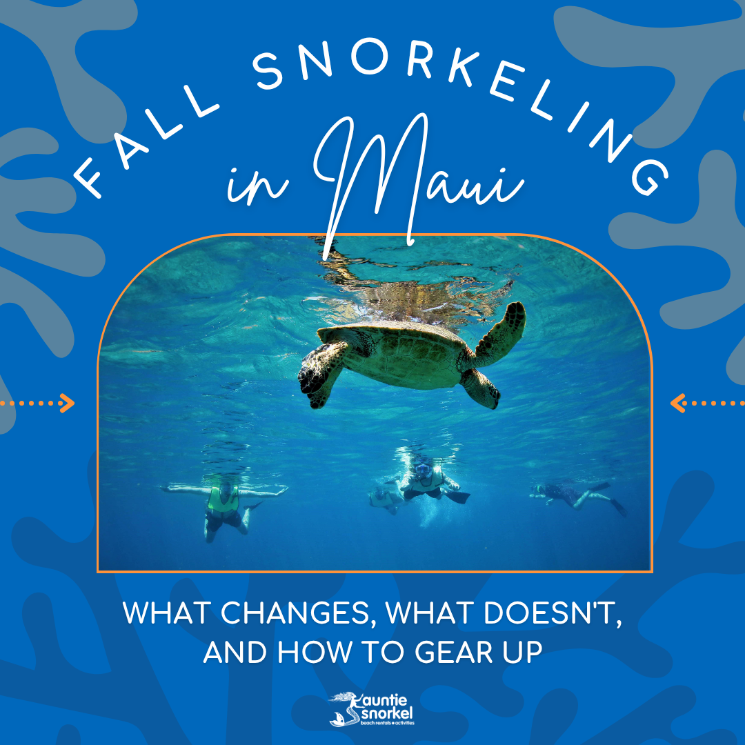 Fall Snorkeling in Maui - What Changes, What Doesn't, and How to Gear Up - Auntie Snorkel