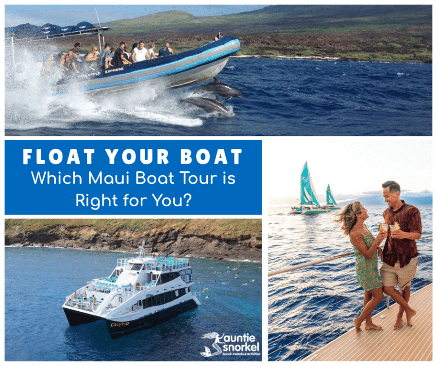 Float Your Boat - Which Maui Boat Tour is Right for You