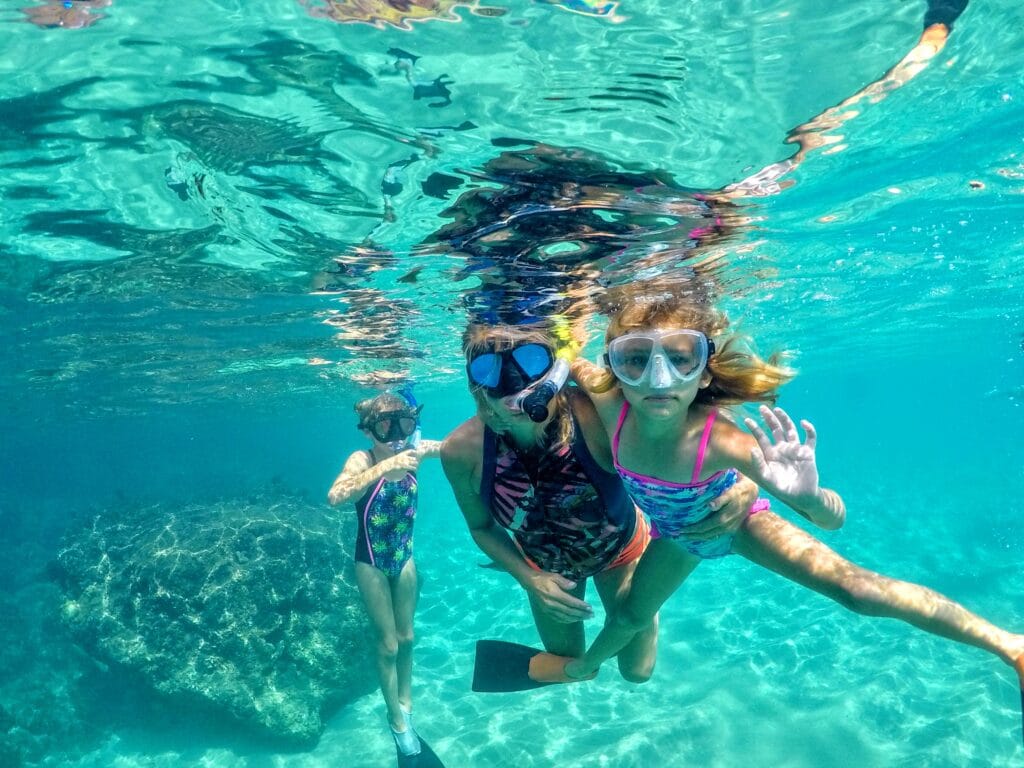 Snorkel Rentals Kihei & Wailea 50 Off + Free Fins! Auntie Snorkel